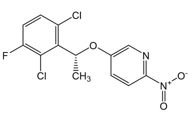 PA 03 3851034
