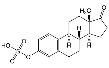 PA 05 0221004