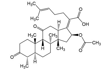 PA 06 0501000