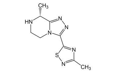 PA 06 2131001