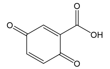 PA 13 0231016