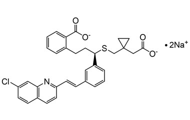 PA 13 0531039