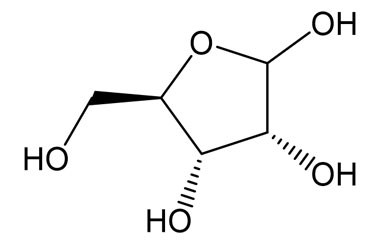 PA 18 0101005