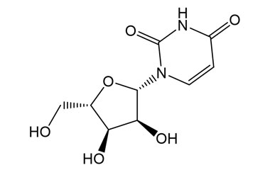 PA 21 0031026