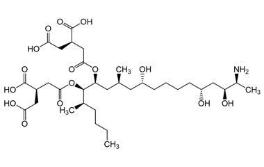 116355-83-0 (ACN/H2O)