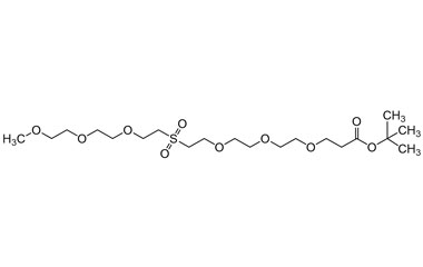tert-butyl 3-(2-(2-(2-((2-(2-(2-methoxyethoxy)etho PA 27 0032090