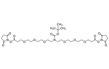 Bis(2,5-dioxopyrrolidin-1-yl) 13-(tert-butoxycarbo PA 27 0032105