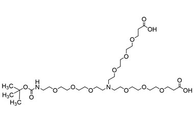 13-(2,2-Dimethyl-4-oxo-3,8,11,14-tetraoxa-5-azahex PA 27 0032111