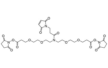 Bis(2,5-dioxopyrrolidin-1-yl) 10-(3-(2,5-dioxo-2,5 PA 27 0032591