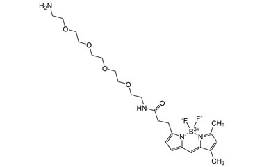 N-(14-Amino-3,6,9,12-tetraoxatetradecyl)-3-(5,5-di PA 27 0032848