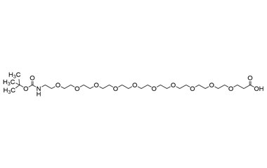 2,2-Dimethyl-4-oxo-3,8,11,14,17,20,23,26,29,32,35- PA 27 0033245