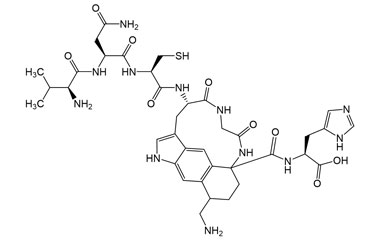 ((5S)-5-((R)-2-((S)-4-Amino-2-((S)-2-amino-3-methy PA 27 0033487
