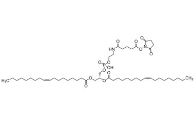 (2R)-3-(((2-(5-((2,5-Dioxopyrrolidin-1-yl)oxy)-5-o PA 27 0033504