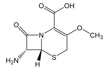 PA 56 0261011