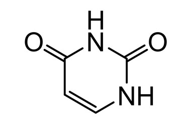 66-22-8