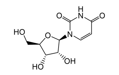 PA BSC 00321807