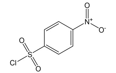PA BSC 0060401074