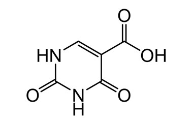 PA BSC 00747747