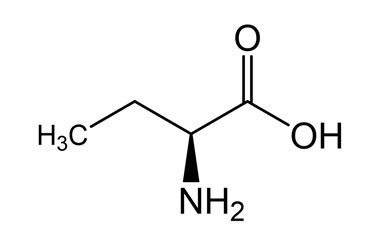 PA BSC 01012891