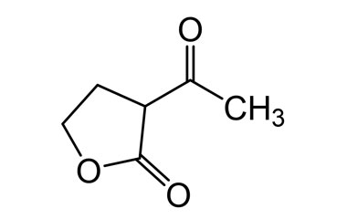 PA BSC 01318199