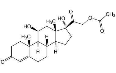 PA BSC 0140801029
