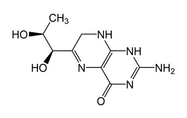 PA BSC 01629661