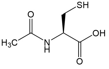 PA BSC 0170101034