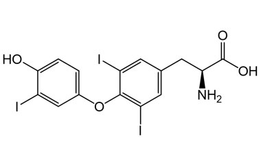 PA BSC 02012632