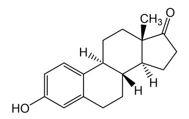 PA BSC 02205639