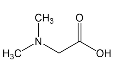 PA BSC 0220701032