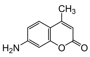 PA BSC 02208039