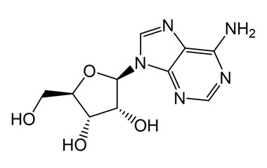 PA BSC 02401904