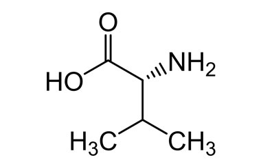 PA BSC 03122143