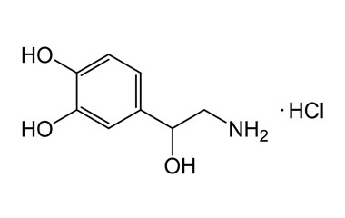 PA BSC 03428574