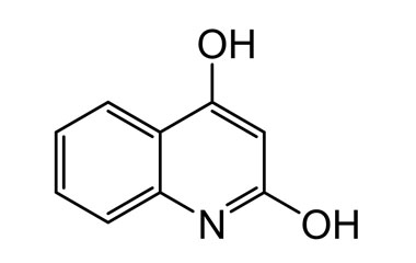 PA BSC 03709873