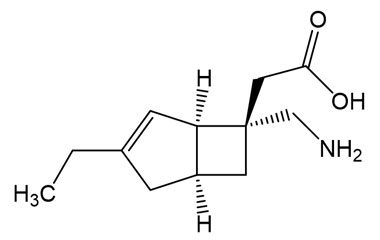 PA BSC 2351301011