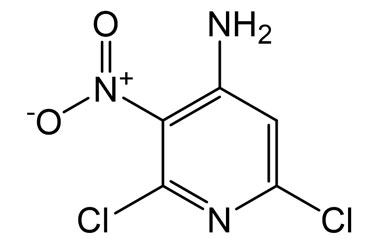 PA BSC 26702013