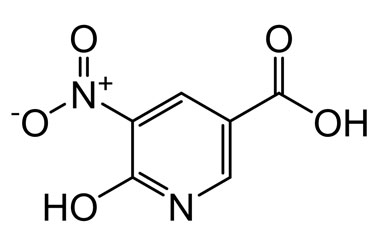 PA BSC 26702022