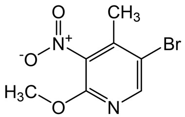 PA BSC 26702024