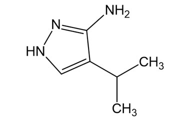 PA BSC 26702102