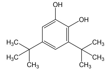 PA BSC 26702285