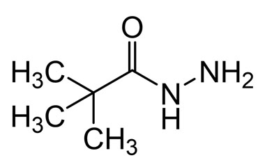 PA BSC 26702450