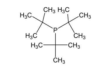 PA BSC 26702762