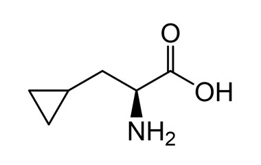 PA BSC 26702827