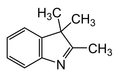 PA BSC 26702867