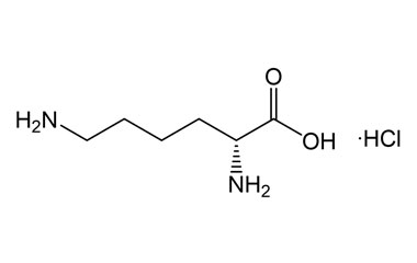 PA BSC 26702869