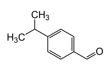 PA BSC 26702916