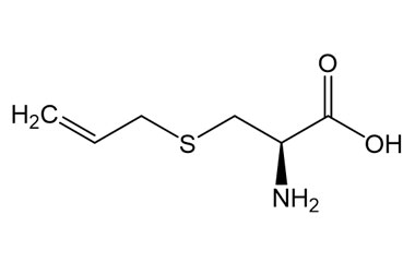 PA BSC 34703701