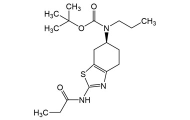 PAI 16 009119