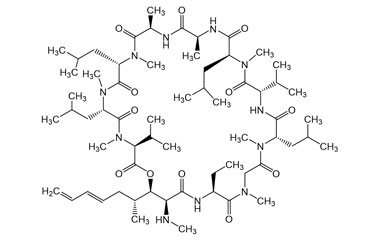 PA PEP 000975